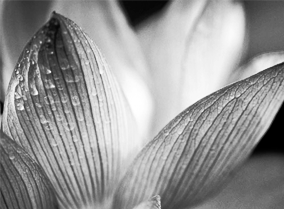 秒充秒发货的网页攻击器教程